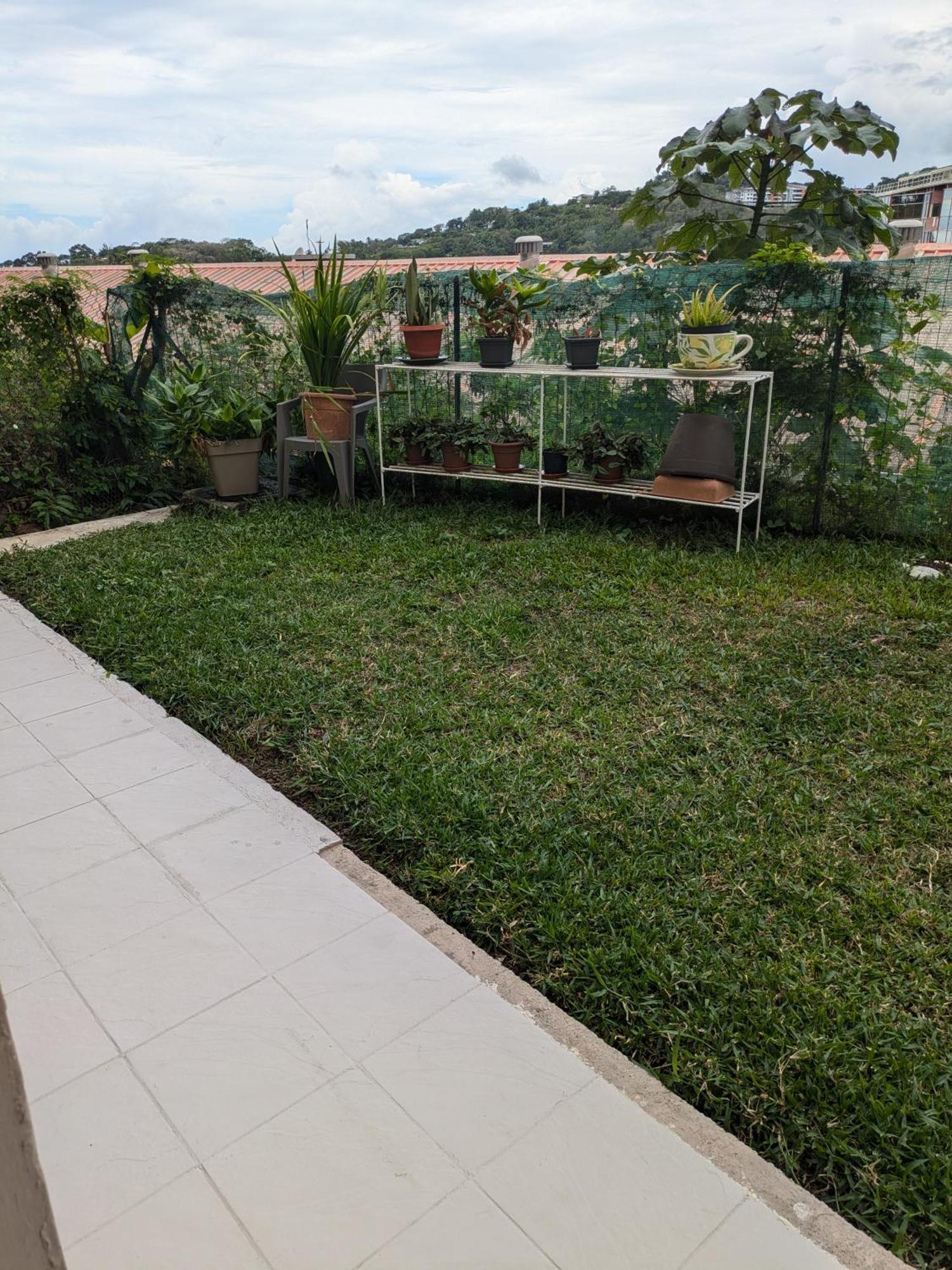 Apartamento N'Jok Papeete Papeete  Exterior foto
